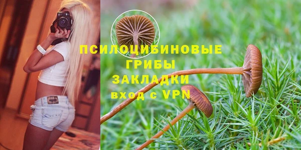 mix Алексин